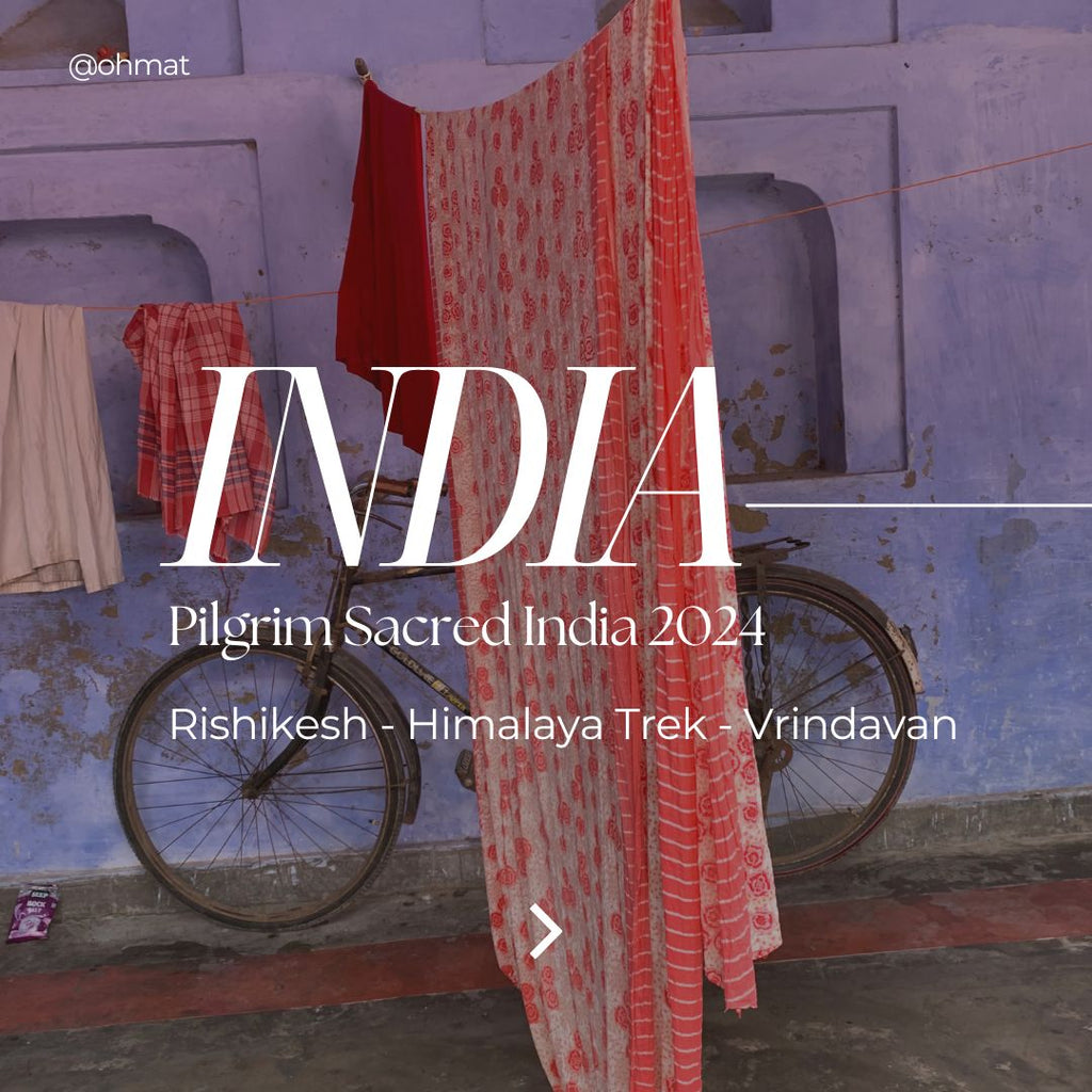 Rishikesh - Himalayas - Vrindavan : Pilgrim INDIA 2024